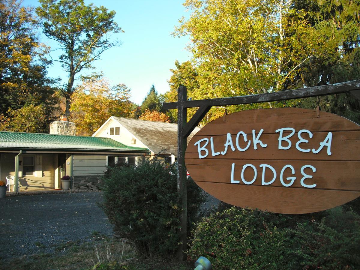 Black Bear Lodge Prattsville Kültér fotó